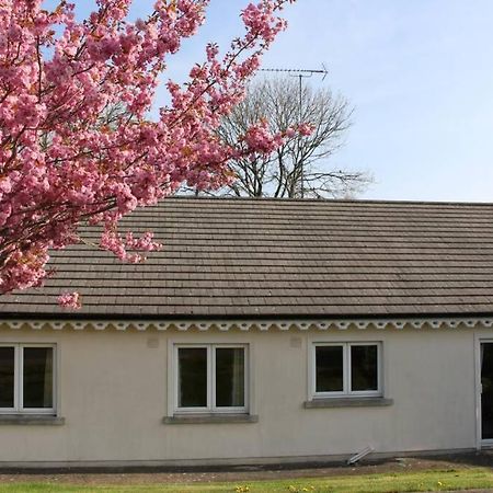 Sunny Bungalow Courtown Bagian luar foto
