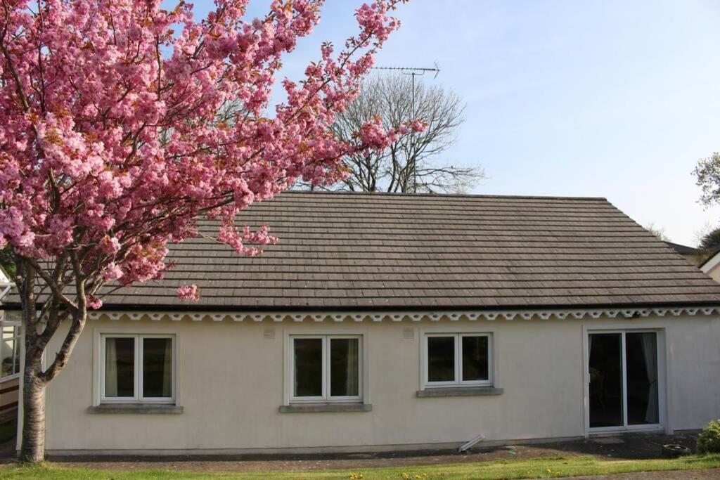 Sunny Bungalow Courtown Bagian luar foto