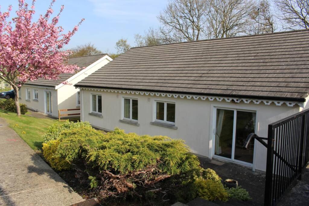 Sunny Bungalow Courtown Bagian luar foto
